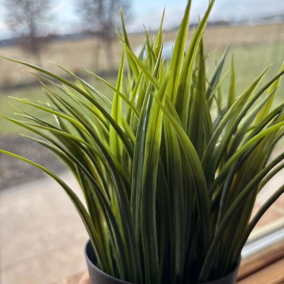 Ikea Fejka Artificial Potted Plant Indoor/Outdoor Grass 3 ½" 004.339.42 - Picture 5 of 10